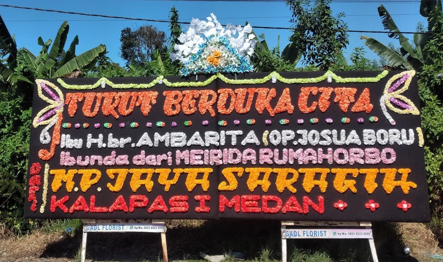 Katalog