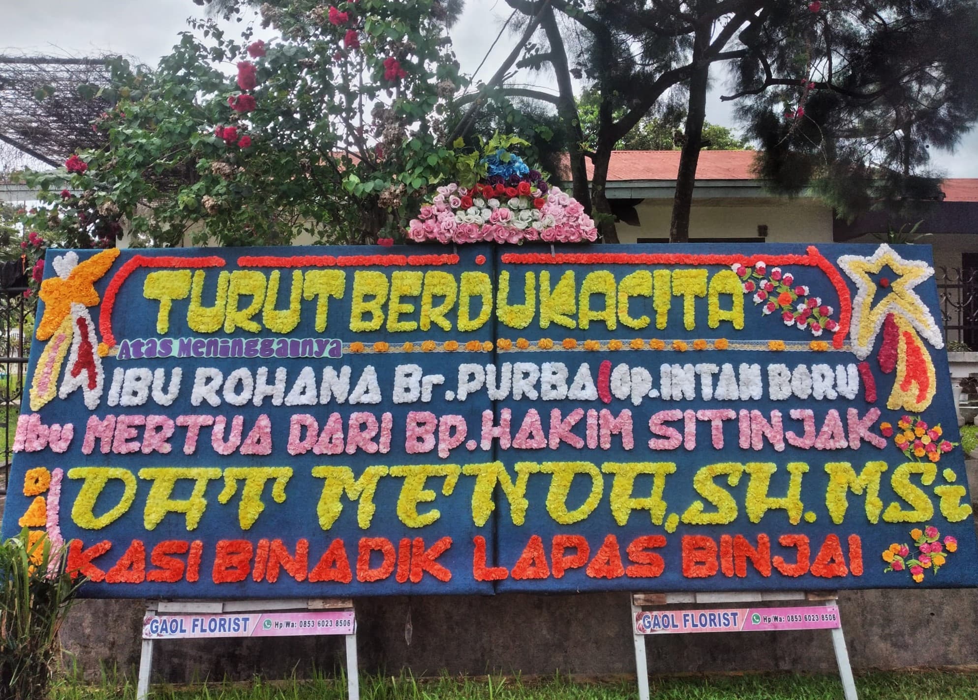 Katalog